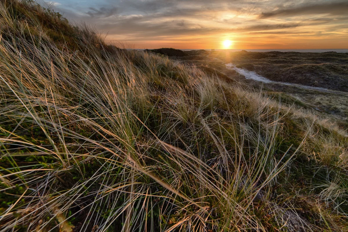 Jak złożyć sprawozdanie BDO przydatnie?