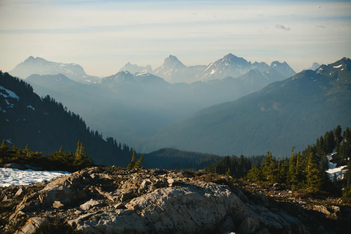 Jak  nauczyć się tańca - nowości w 2024