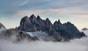 Oto Jak gotować wegańsko (i Jak Możesz To Skopiować)