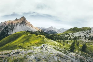 znaleźć dentystę w Cieszynie dobrze?